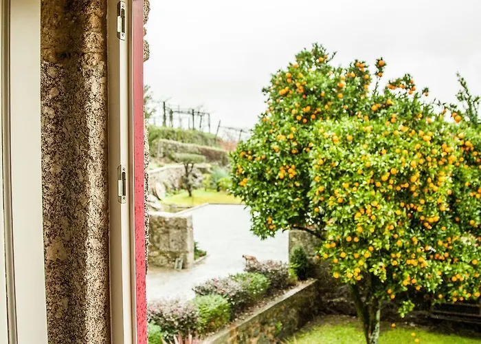 Quinta De Padreiro Ferienhaus